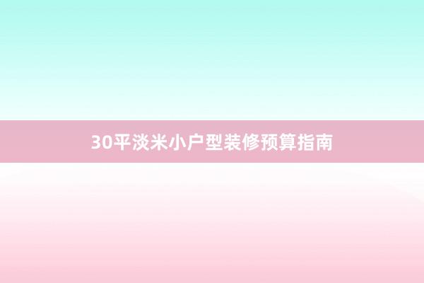 30平淡米小户型装修预算指南