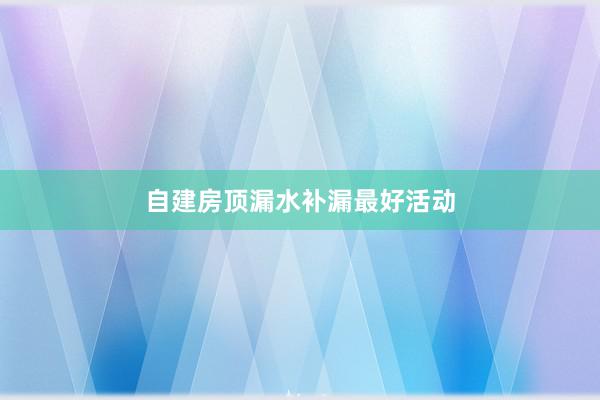 自建房顶漏水补漏最好活动