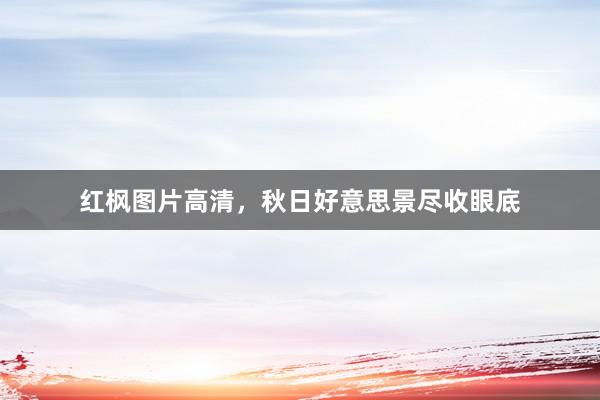 红枫图片高清，秋日好意思景尽收眼底