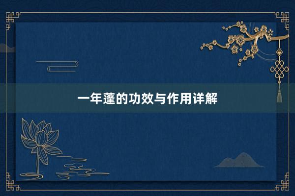 一年蓬的功效与作用详解